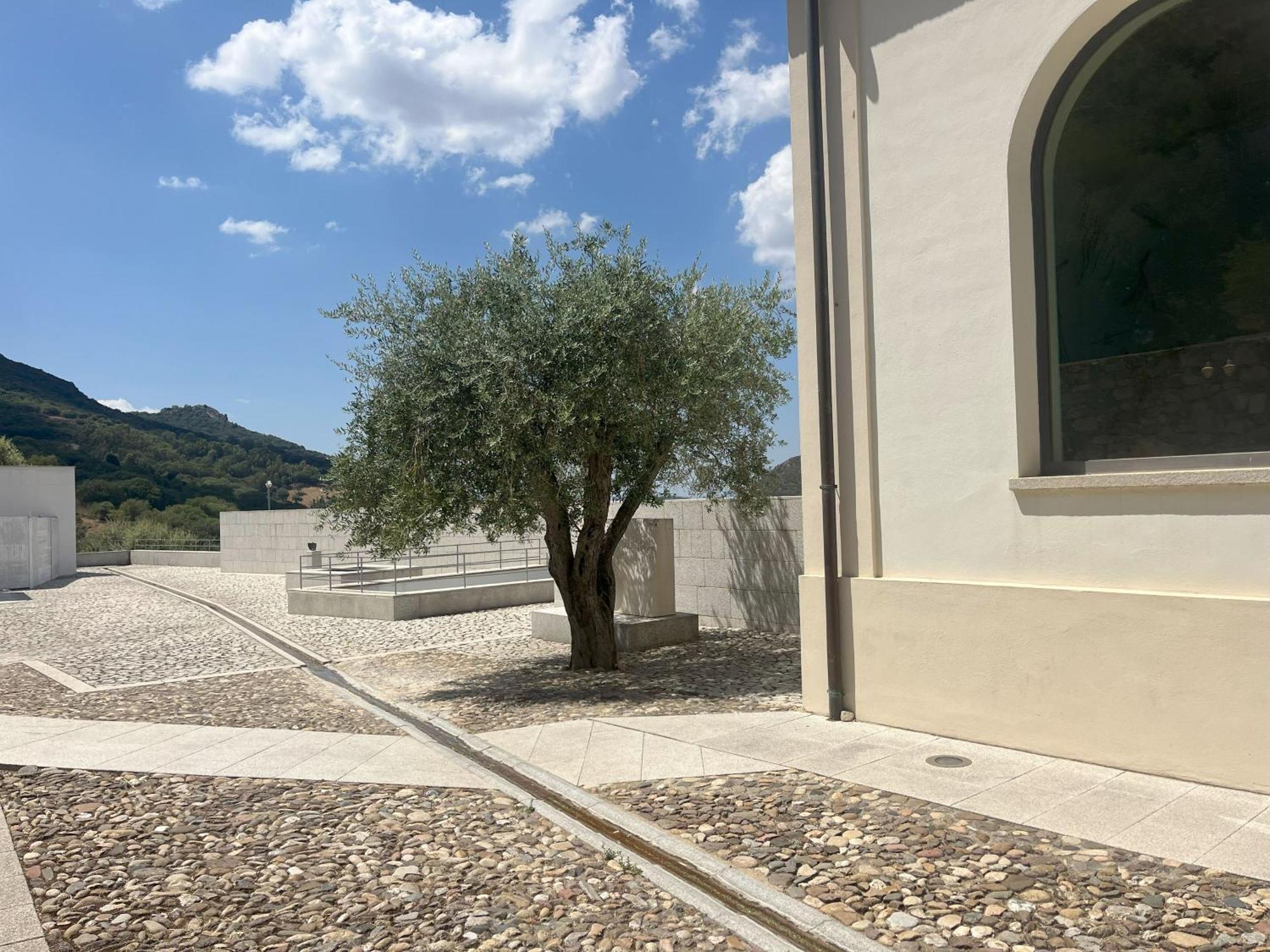 Casa Ziranu Sa Domo E Su Cantaru Orani Exterior foto